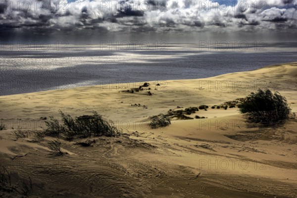 Extensive sand dunes of the Curonian Spit at Ephas Height under dramatic skies, Curonian Spit,