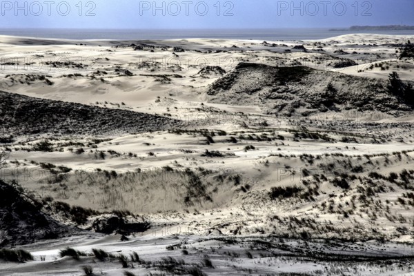 Gentle dune landscape shaped by wind on the Curonian Spit, Curonian Spit, Ephas Heights, Russia