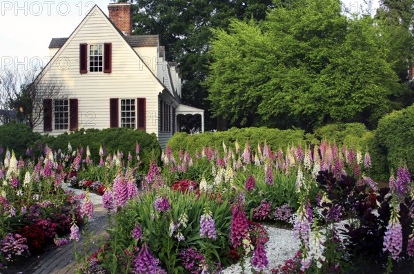Custis Tenement surrounded by blooming gardens in Colonial Williamsburg, Williamsburg, Virginia,
