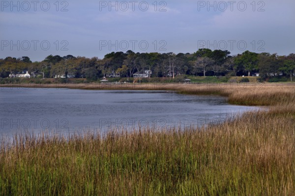 Tranquil water landscape with reeds and surrounding trees in Beaufort, Beaufort, South Carolina,