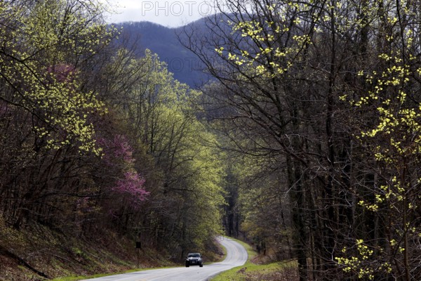 Winding road through spring-like forests along the Blue Ridge Parkway, zero