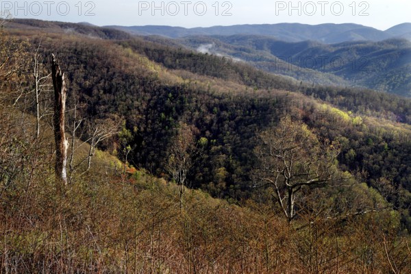 Impressive forest and hill scenery along the Blue Ridge Parkway, zero
