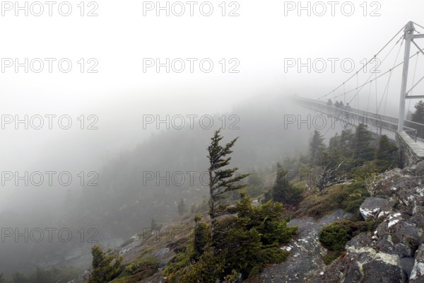 Suspension bridge in fog with wind-shaped trees and rocks in Grandfather Mountain State Park,