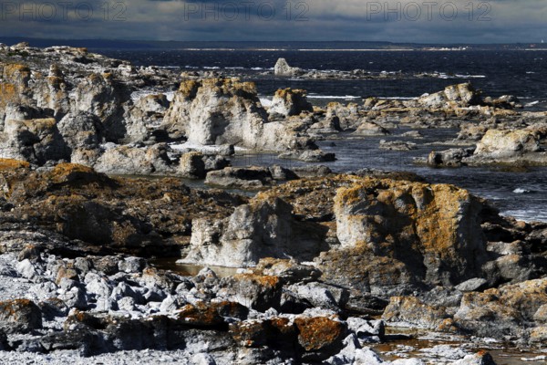 Coastal landscape with impressive limestone columns near Digerhuvud, Digerhuvud, Fårö, Sweden