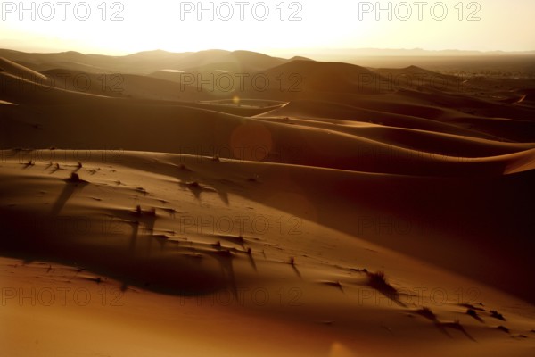 Sunset bathes the sand dunes of Erg Chebbi in golden light and shadow, Erg Chebbi, Morocco