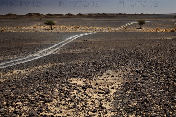 Trail leads through the rocky, dry landscape of Erfoud, Erfoud, Niger, Morocco