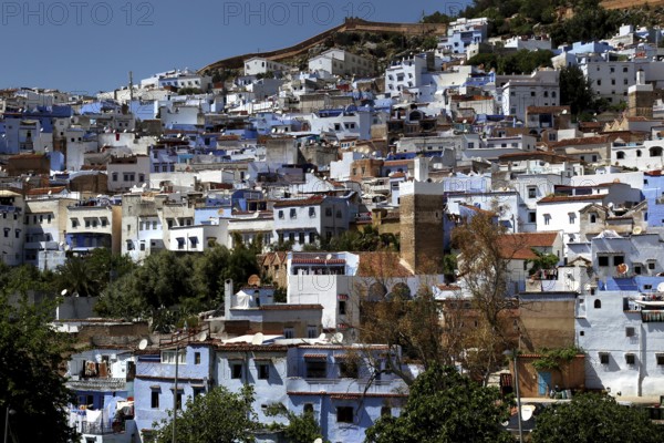 View of the hilltop town of Chefchaouen with distinctive blue and white buildings, Chefchaouen,