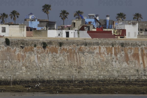 View of the Cité Portugaise of El Jadida with distinctive city walls and palm trees, El Jadida,