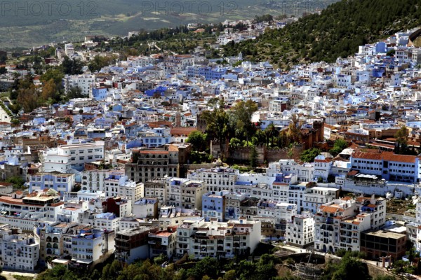 Panoramic view of the blue city of Chefchaouen nestled in a mountainous landscape, Chefchaouen,