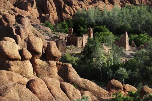 Unique 'monkey paw' rock formations with mysterious ruins and lush greenery, Dadès, region, MA