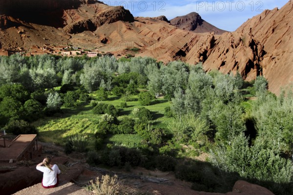 Breathtaking views of lush vegetation and distinctive monkey paw formation, Dadès, region, MA