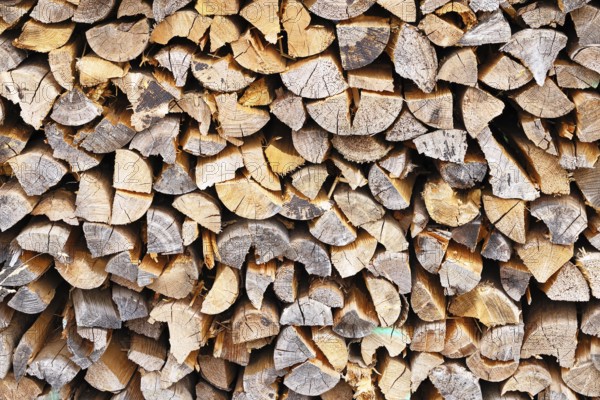 Wood, firewood, split and stacked, heat, energy, heating, Wilnsdorf, North Rhine-Westphalia,