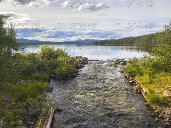 Drevsjø, Innlandet, Norway, A river flows into a calm lake surrounded by trees and a cloudy sky,