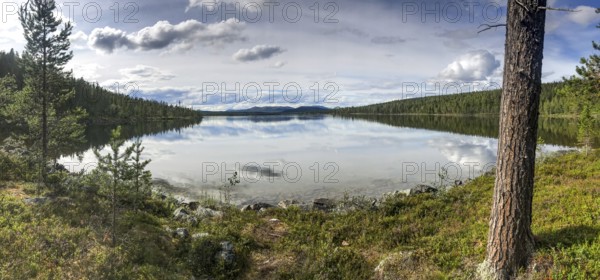 Drevsjø, Innlandet, Norway, calm lake with forest and reflection of clouds, peaceful atmosphere,