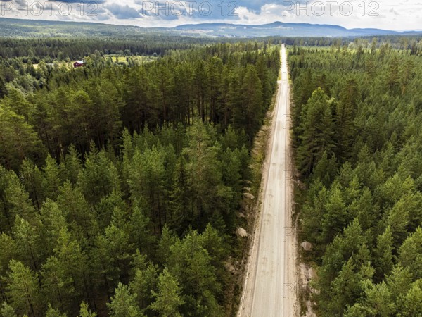 Torsby, Värmlands län, Sweden, Long road through a thick green forest under a wide, cloudy sky,