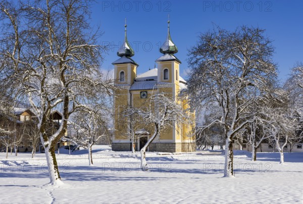 Snowy fruit trees with St. Lawrence Church in Sankt Lorenz bei Mondsee, Mondseeland, Salzkammergut,