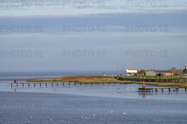 A coastline with footbridges and buildings under a wide, blue sky, Wadden Sea National Park, Jade