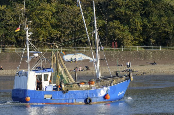 Blue fishing boat fishing boat on Jade Bay sails into Dangaster Harbour near the wooded shore under