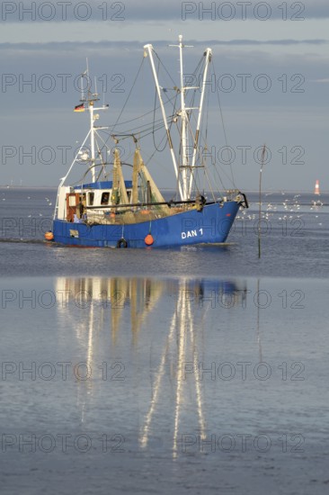 Blue fishing boat fishing trawler with reflection on still water under clear sky, Wadden Sea