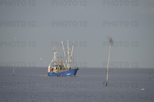 A fishing boat fishing trawler on the sea, surrounded by water and under a wide sky, pricks