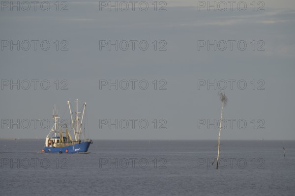 Fishing boat fishing trawler sails across calm sea jade breasts under a wide, cloudless sky on the