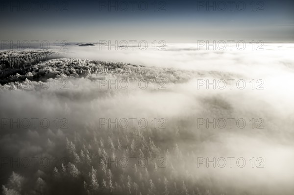 Holland, Borgholzhausen, North Rhine-Westphalia, Germany, Frosty treetops rise through a blanket of