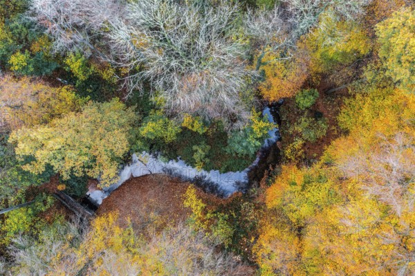 Melle, Lower Saxony, Germany, aerial view of an autumnal forest with colorful foliage and a small