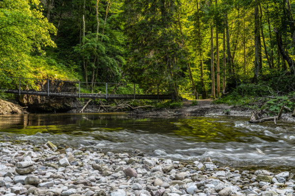 Clear river with a small bridge, surrounded by green forest and pebbles