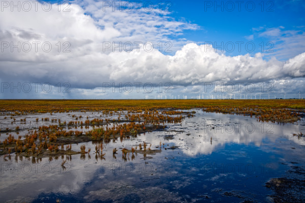 Wet marshland with water reflections and wind turbines in the distance under dramatic clouds