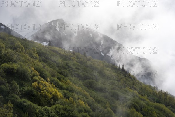 Fog sweeps around mountain peaks, Slaughter Ridge Trail, Cooper Landing, Kenai Peninsula, Alaska,