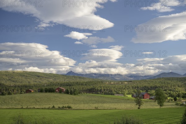 Folldal, Innlandet, Norway, Rural landscape with green fields, buildings and mountains on the