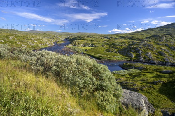 Vøringsfoss, Vestland, Norway, Green landscape with a river and hills under a blue sky in