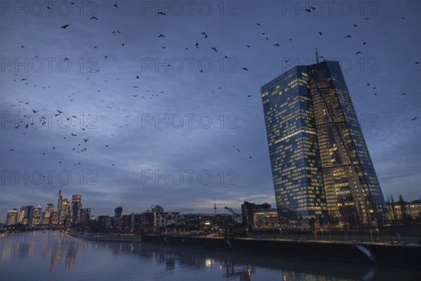 A flock of birds flies in the evening from the European Central Bank (ECB) towards the Frankfurt