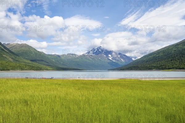 Green meadow on a lake and mountains, Eklutna Lake, Chugach Mountains, Chugach State Park, Alaska,