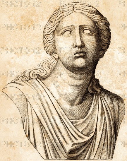 Bust of Niobe, Greek mythology, wife of the Theban king Amphion, transformed into marble according