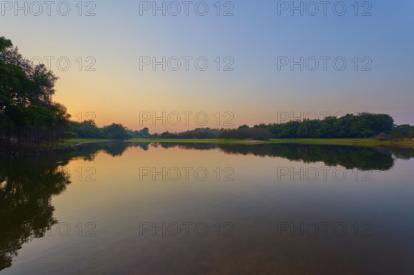 Morning light bathes the lake in warm, golden tones with the shade of green trees, Fazenda Barranco