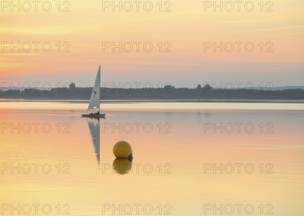 Sailing boat glides on quiet Dümmer Lake with a yellow buoy at sunset, Dümmer nature park Park,