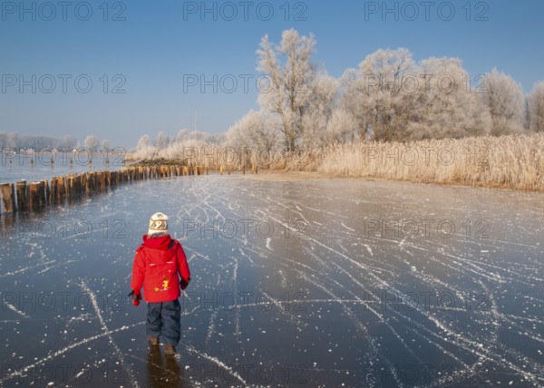 Child in red clothes walks across a frozen area of Dümmer Lake in a wintry landscape, Dümmer nature