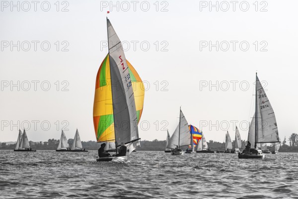 Colourful sailboats in a wooden boat regatta on Lake Dümmer in grey skies, in the foreground a