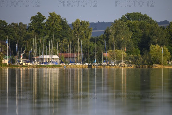 Dümmer See with sailboats and trees on the shore, harbor view with reflections of boats and masts,