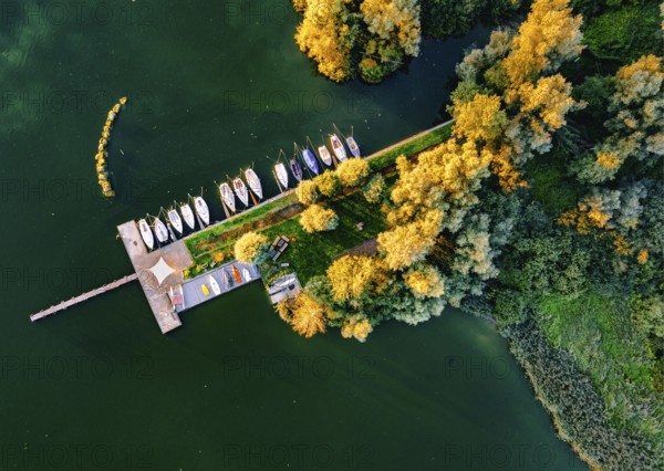 Aerial view of several boats on a pier surrounded by autumn trees and green water, Dümmer nature