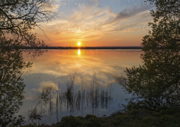 Sunset over a lake, colorful sky reflection, quiet scenery south bay of Lake Dümmer, Dümmer nature