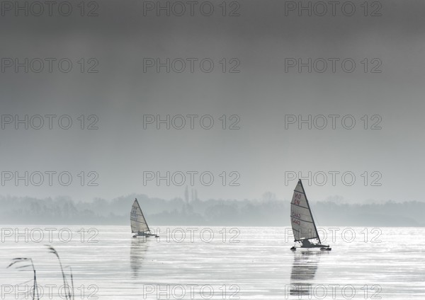 Ice sailors on frozen Dümmer Lake, grey sky in the background, Dümmer nature park Park, Lembruch,