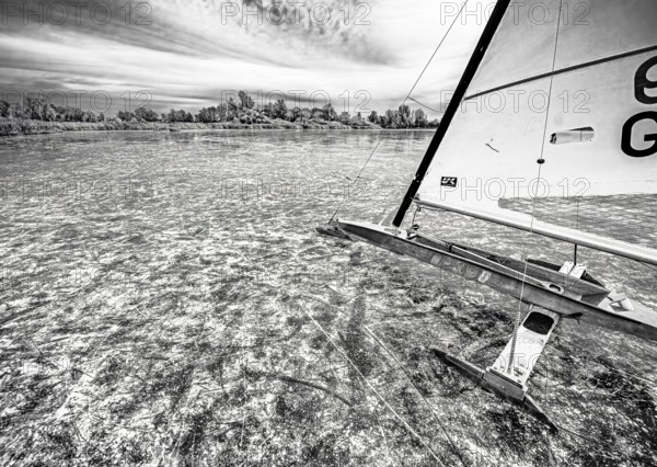 Ice sailors on water in black and white with strong contrast and structure, Dümmer nature park