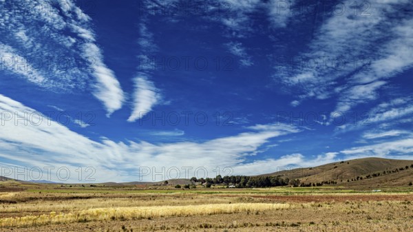 Wide landscape with fields under an intense blue sky, The Altiplano landscape in the Andes of
