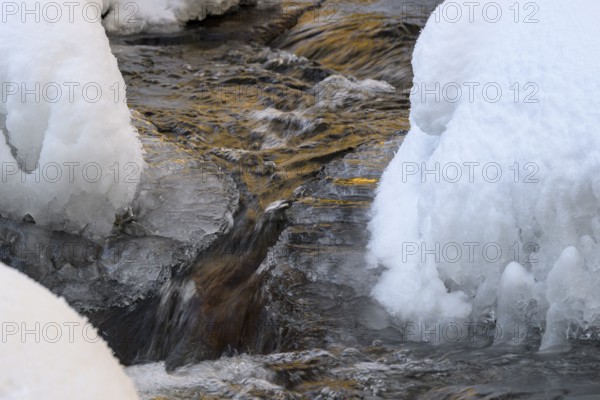 Ilsenburg, Saxony-Anhalt, Germany, close-up of water snaking through icy and snow-covered banks on