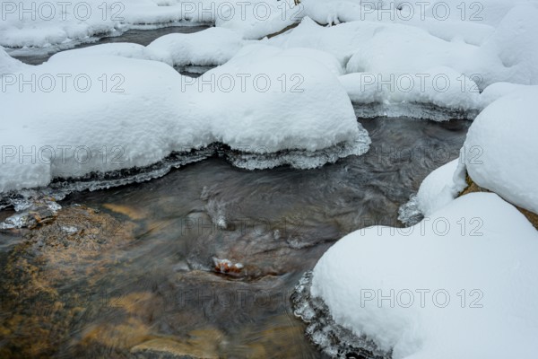Ilsenburg, Saxony-Anhalt, Germany, Small river Ilse in the Harz National Park on Heinrich-Heine