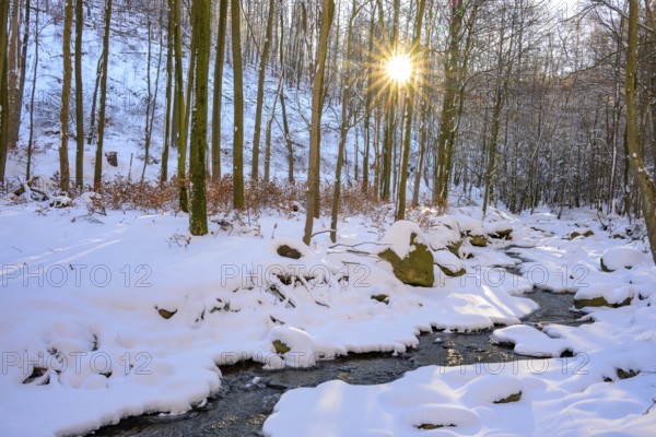 Ilsenburg, Saxony-Anhalt, Germany, A sunny winter day with snow-covered trees on the banks of the