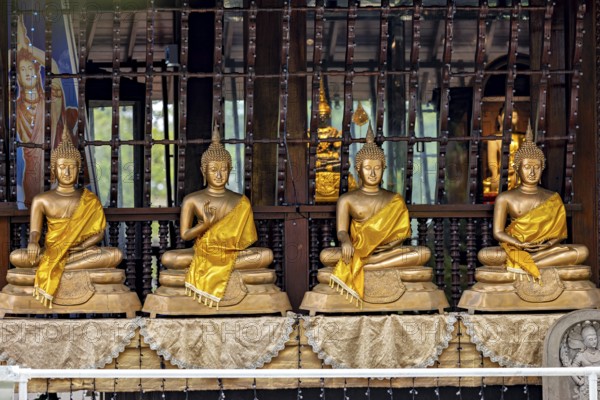 Row of Buddha statues in a temple, separated by bars, all with yellow robes, The Seema Malaka