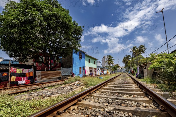 Railway tracks run along colorful houses and a large tree under a cloudy sky, railway line in the